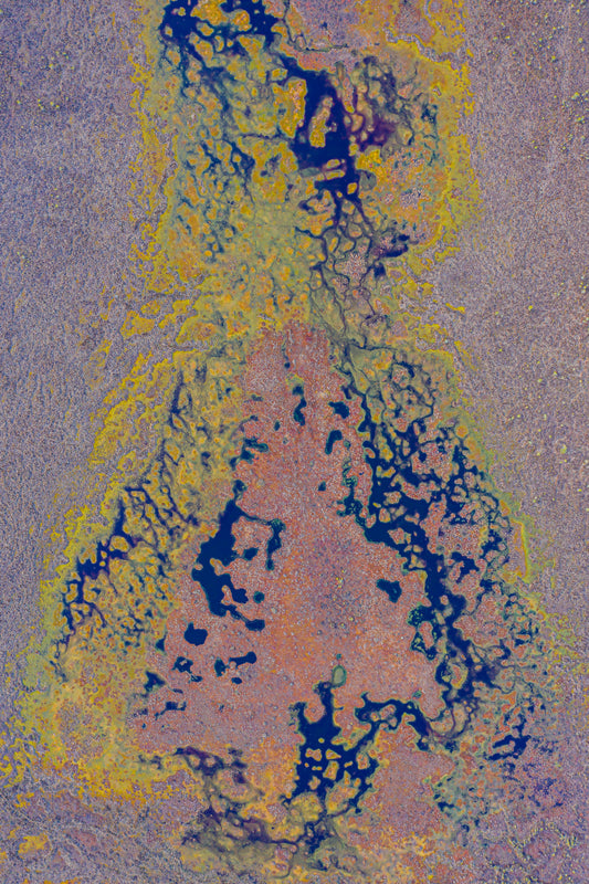 THE EARTH’S PALETTE / COLORS OF NATURE IN SKINCARE